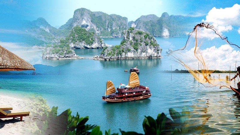 Ảnh minh họa. Nguồn: Internet