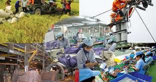 Ảnh minh họa. Nguồn: Internet.
