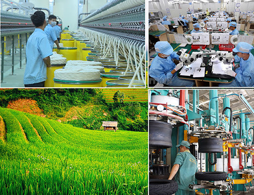 Ảnh minh họa. Nguồn: Internet.