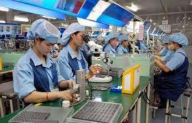 Ảnh minh họa. Nguồn: Internet.
