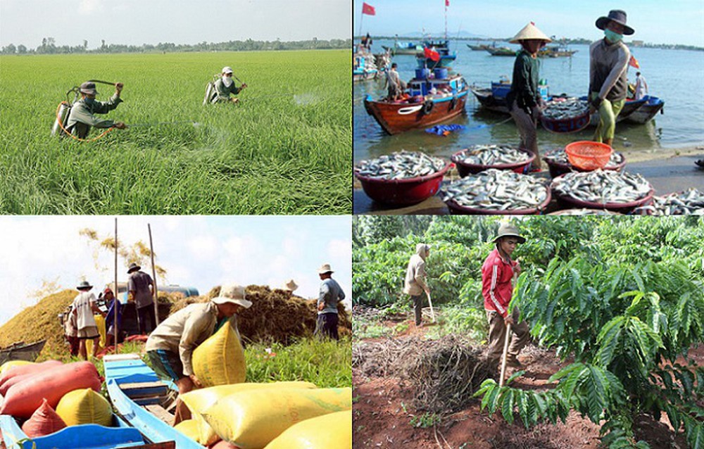 Cá nhân sản xuất nông nghiệp thuộc diện hộ nghèo, hộ cận nghèo sẽ được hỗ trợ đến 90%. Nguồn: Internet.
