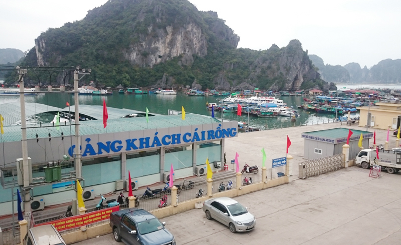 Ảnh minh họa. Nguồn: Internet