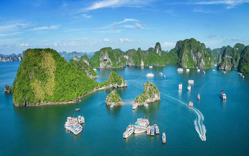 Ảnh minh họa. Nguồn: Internet