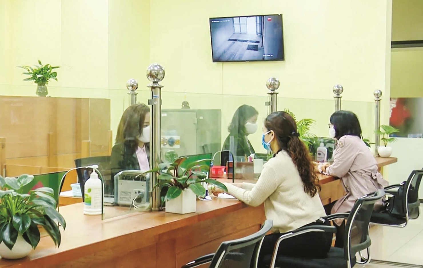 Ảnh minh họa. Nguồn: Internet.