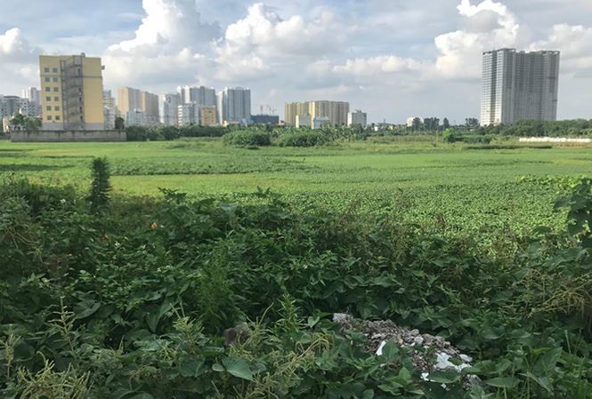 Dự án xây dựng bệnh viện đa khoa Quang Trung vẫn nằm trên giấy sau 10 năm có quyết định thu hồi đất để thực hiện. Nguồn: Internet