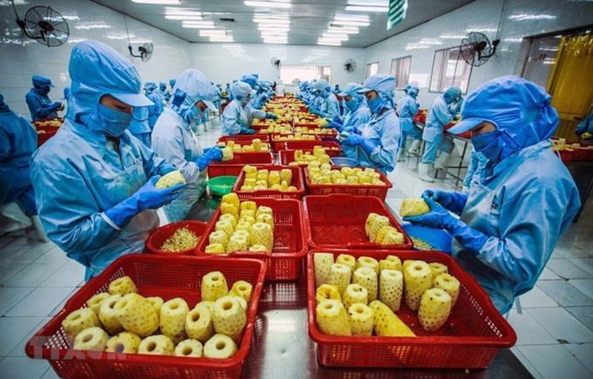 Ảnh minh họa. Nguồn: Internet