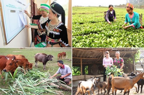 Ảnh minh họa. Nguồn: Internet