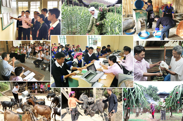 Ảnh minh họa. Nguồn: Internet