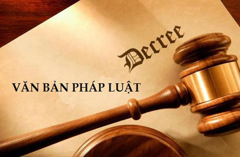 Ảnh minh họa. Nguồn: Internet