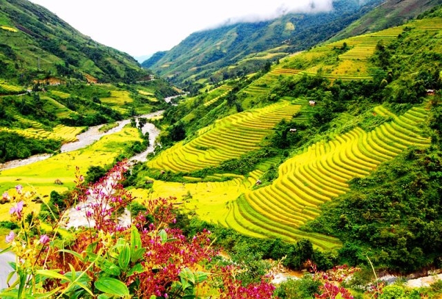 Ảnh minh họa. Nguồn: Internet