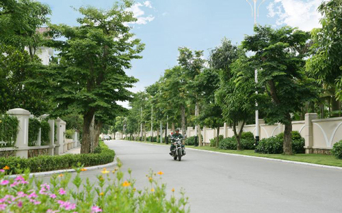 Ảnh minh họa. Nguồn: Internet