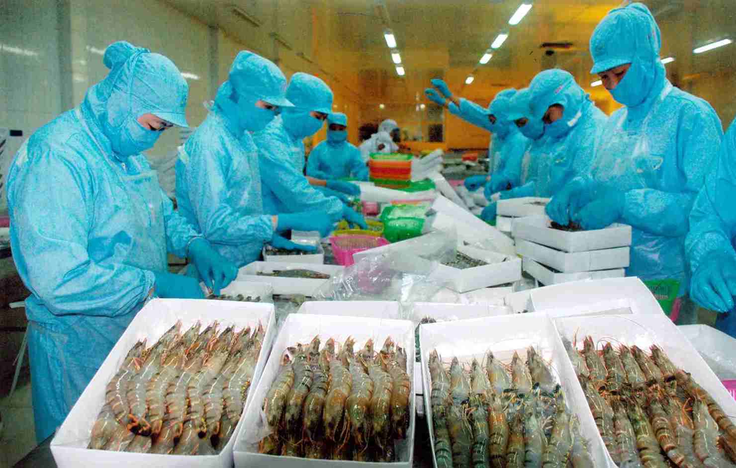 Ảnh minh họa. Nguồn: Internet