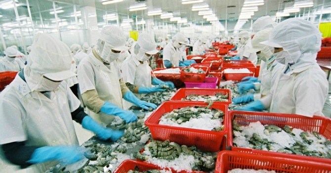 Thời gian qua nhiều lô hàng tôm nhập khẩu vào Úc bị buộc tái xuất hoặc tiêu hủy. Ảnh minh họa. Nguồn: Internet