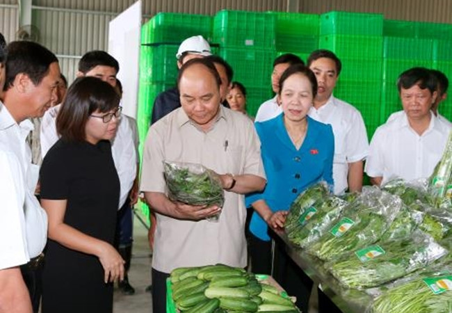 Thủ tướng dành gói tín dụng 100.000 tỷ đồng cho nông nghiệp công nghệ cao. Ảnh minh họa. Nguồn: Internet
