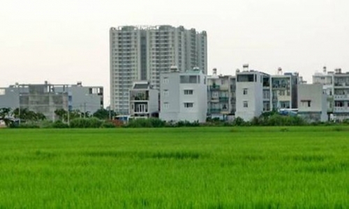 Ảnh minh họa. Nguồn: Internet