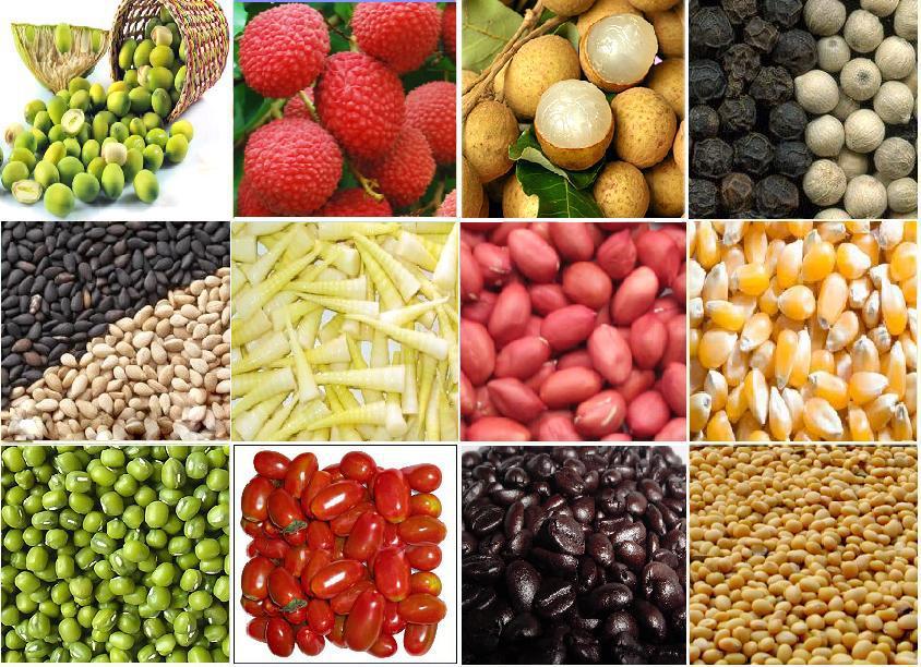 Nhiều mặt hàng thế mạnh của Việt Nam vẫn chưa có mặt tại thị trường Hàn Quốc
