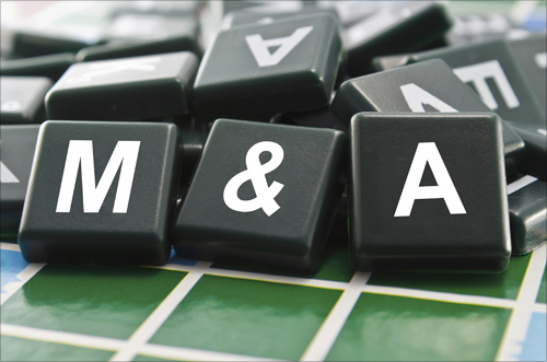Khối ngoại ngày càng cho thấy sức mạnh trong thị trường M&A, vậy khối nội đang ở đâu và điều gì khiến các nhà đầu tư trong nước “chùn chân”? Nguồn: Internet