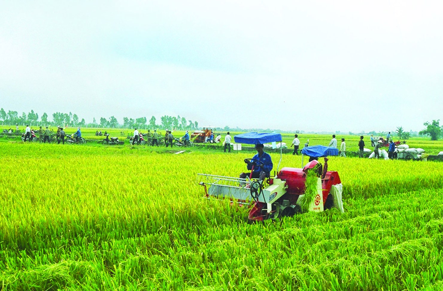 Phó Thủ tướng Chính phủ Vương Đình Huệ giao Bộ Tài chính nghiên cứu, đề xuất chính sách ưu đãi về thuế cho các hợp tác xã. Nguồn: Internet