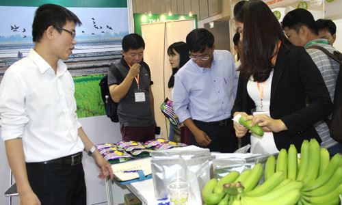 Các DN và nông dân nên có tư duy mới hơn để sản phẩm nông sản đáp ứng được nhu cầu của thị trường xuất khẩu. Nguồn: Internet