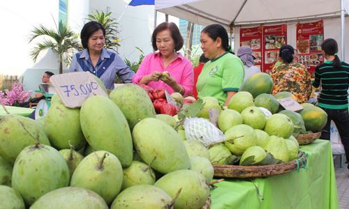“Giảm lượng, tăng chất” là điều cần làm ngay với nhiều ngành hàng nông sản XK. Nguồn: Internet