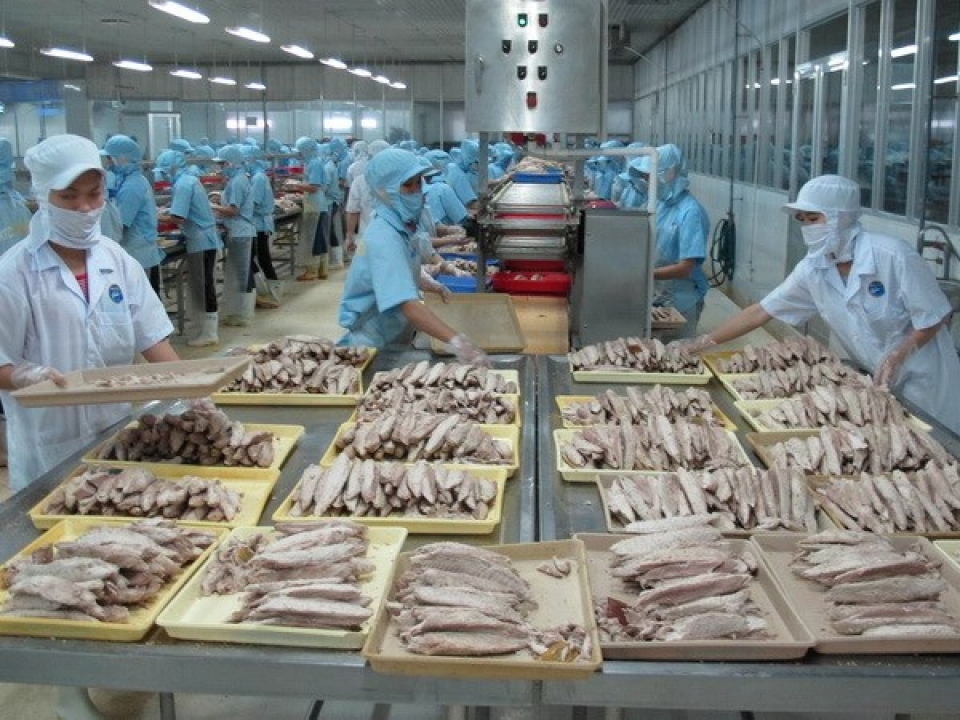 Khắc phục tình trạng các lô hàng thủy sản Việt Nam bị nước ngoài cảnh báo, trả về. Nguồn: Internet