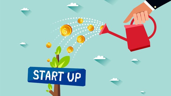 Chính phủ Việt Nam đã ban hành một số chính sách tài chính như chính sách thuế, chính sách tín dụng nhà nước và chính sách tài chính hỗ trợ gián tiếp thông qua mô hình vườm ươm doanh nghiệp. Nguồn: Internet
