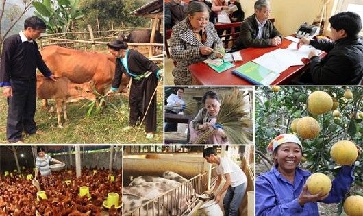 Giai đoạn 2016 - 2018, ngân sách Trung ương bố trí thực hiện Chương trình mục tiêu quốc gia giảm nghèo bền vững là 21.597,557 tỷ đồng. Nguồn: Internet