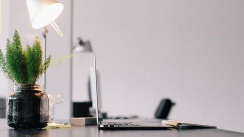Với những người hoạt động trong các ngành nghề như Biên tập viên, phòng kế hoạch, phòng phát triển sản phẩm, thì cây cảnh để bàn phù hợp là những loại cây, hoa có màu đỏ, bày trí về hướng Đông. Nguồn: Internet