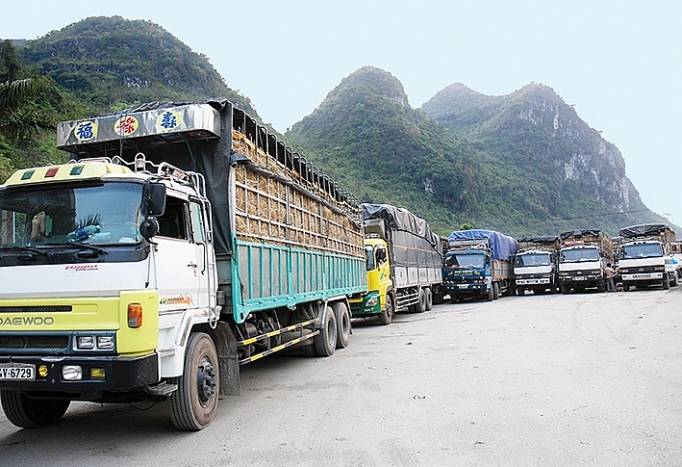 Thực hiện đầy đủ TFA sẽ giúp doanh nghiệp cắt giảm thời gian và chi phí thông quan. Nguồn: congthuong.vn