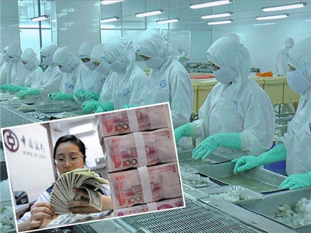 Các doanh nghiệp xuất khẩu thủy sản có thể khó bán hàng sang Trung Quốc vì đồng NDT mất giá. Nguồn: plo.vn