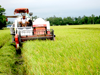 Doanh nghiệp đầu tư vào nông nghiệp, nông thôn sẽ được hưởng những ưu đãi về đất đai và được hỗ trợ đầu tư. Nguồn: internet