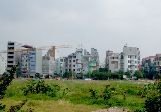 Ảnh minh họa. Nguồn: internet