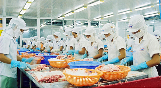 Kiểm toán môi trường giúp giảm các rủi ro về môi trường