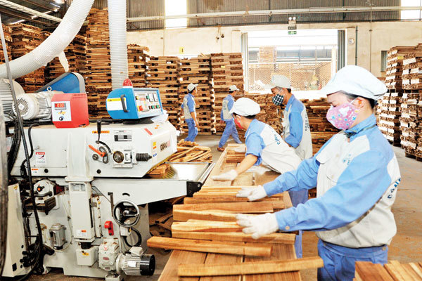 Nhiều doanh nghiệp đã được hỗ trợ đào tạo nguồn nhân lực