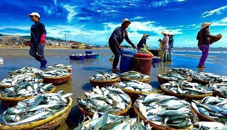 Mô hình kinh tế tuần hoàn, kinh tế xanh trong chuỗi giá trị thủy sản được nghiên cứu, áp dụng và từng bước được nhân rộng