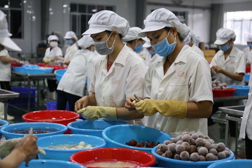 Chế biến vải thiều xuất khẩu. Ảnh: TL minh họa
