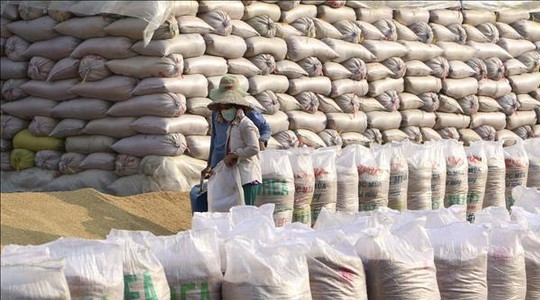 Hạt giống cây trồng từ nguồn dự trữ quốc gia được xấp cấp hỗ trợ các tỉnh bị thiệt hại do thiên tai.