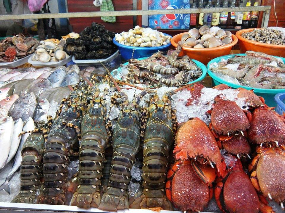 Ảnh minh họa. Nguồn: Internet