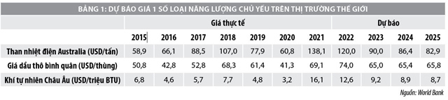 Diễn biến thị trường năng lượng thế giới năm 2020-2021 và dự báo cho thời gian tới - Ảnh 7