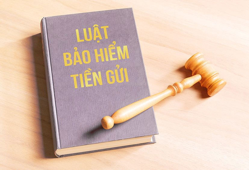 Luật Bảo hiểm tiền gửi sửa đổi cần theo hướng bổ sung chức năng, nhiệm vụ mới để Bảo hiểm tiền gửi Việt Nam có vai trò lớn hơn trong việc bảo vệ quyền và lợi ích hợp pháp của người gửi tiền và kiểm soát rủi ro tổ chức tín dụng. Ảnh minh họa. Nguồn: Internet.