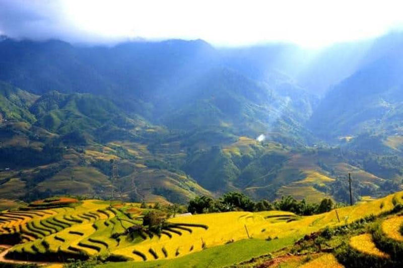 Ảnh minh họa. Nguồn: Internet.