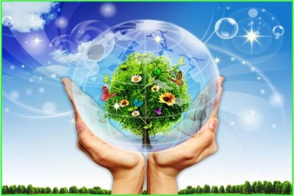 Ảnh minh họa. Nguồn: internet