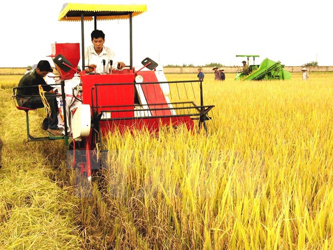 Ảnh minh họa. Nguồn: internet