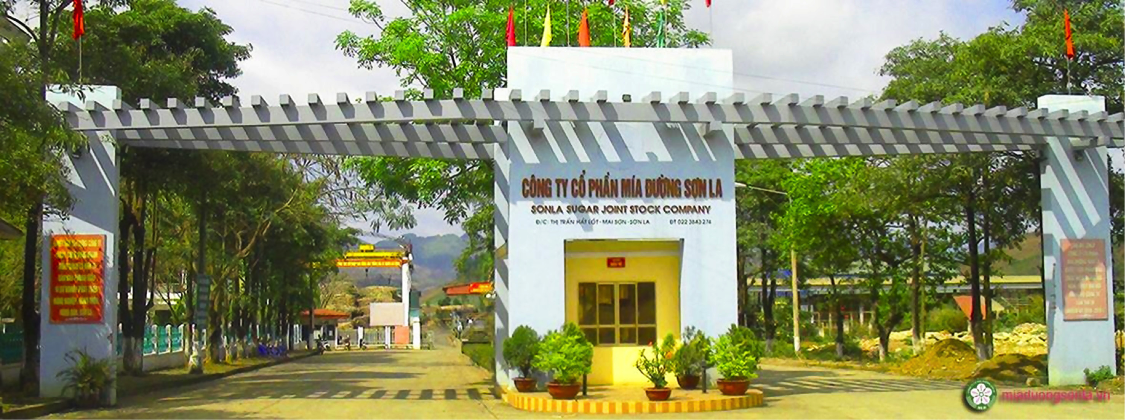 DATC đã thoái vốn thành công sau khi tái cơ cấu Công ty Mía đường Sơn La, thực hiện niêm yết cổ phiếu trên thị trường chứng khoán