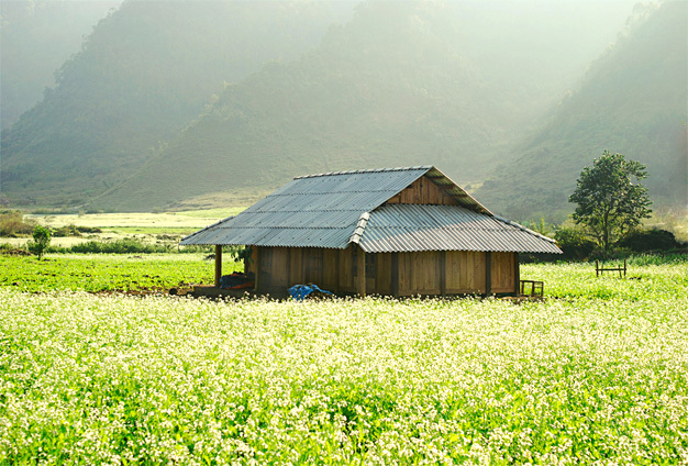 Ảnh minh họa. Nguồn Internet
