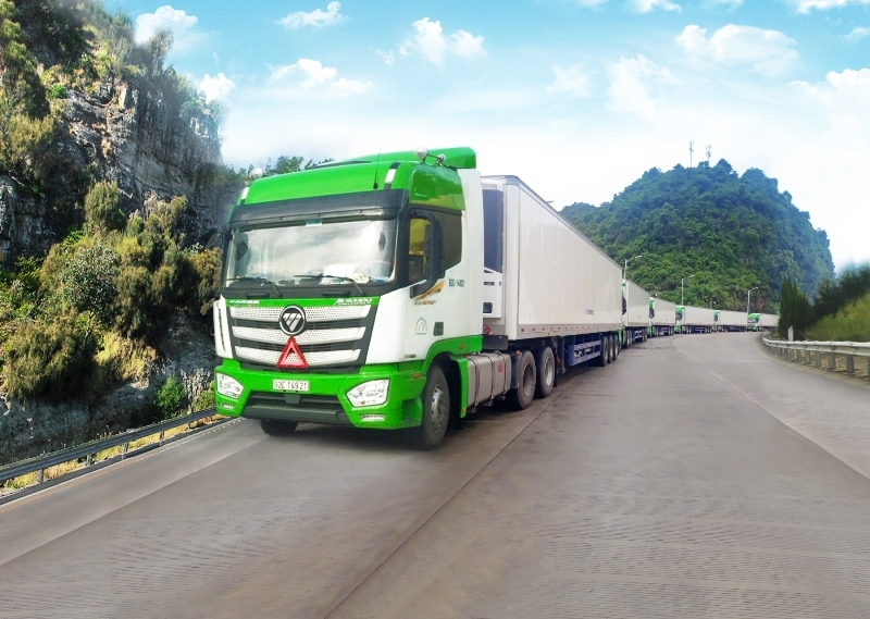 Đội xe lạnh chuyên dụng vận chuyển hàng nông sản do THILOGI đầu tư. Ảnh: Thilogi.