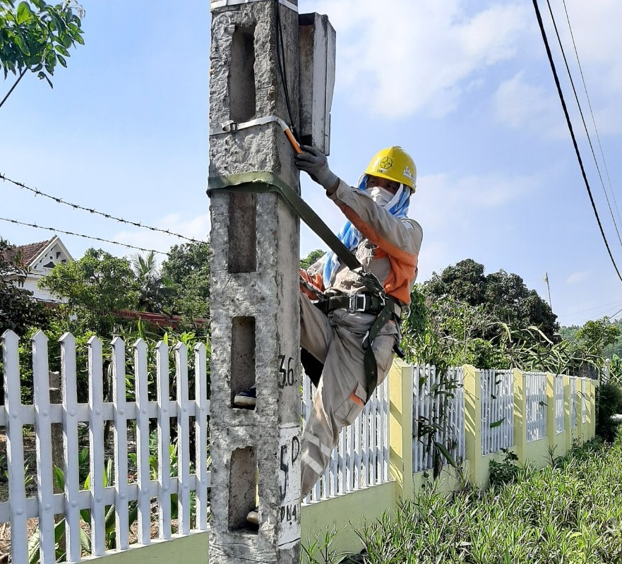 Ảnh minh họa. Nguồn: Internet.