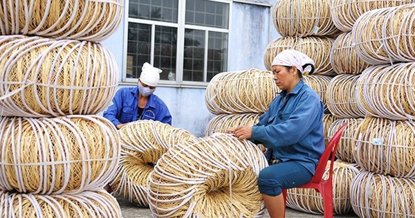 Ảnh minh họa. Nguồn: Internet