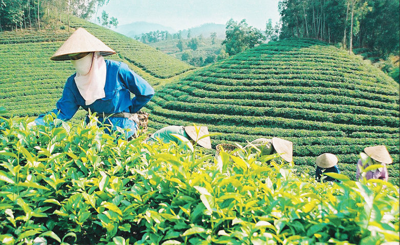 Phát huy hiệu quả của chính sách tín dụng đối với công tác giảm nghèo