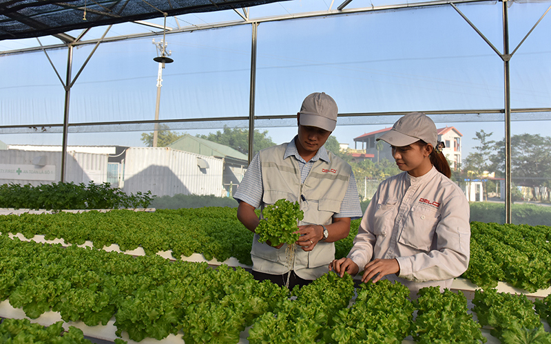 Vùng Đông Nam Bộ đẩy mạnh cơ cấu lại nông nghiệp theo hướng phát triển kinh tế nông nghiệp hiệu quả cao, sinh thái, bền vững, áp dụng quy trình sản xuất an toàn; sử dụng bền vững tài nguyên, bảo vệ môi trường.